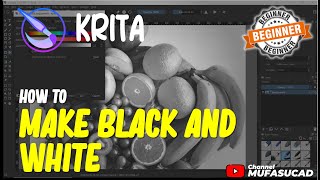 Krita How To Make Black And White [upl. by Euhc]