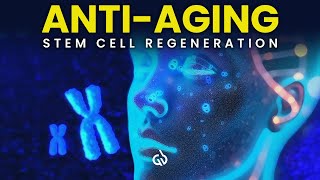 Stem Cell Regeneration Binaural Beats to Regenerate Your Telomeres AntiAging [upl. by Mohamed]