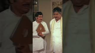 Subhalekha Movie Scenes  chiranjeevi Sumalatha kaikalasatyanarayana  ytshorts shorts [upl. by Freddy78]