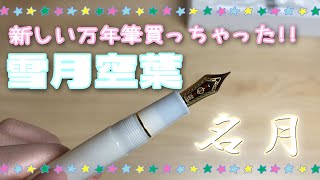 新しい万年筆買ってしまった！！四季織 セーラー万年筆 [upl. by Rodman]