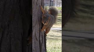 We love seeing students out on campus 👀 🐿️ unksquirrels campuslife [upl. by Joseph]