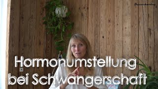 Hormonumstellung bei Schwangerschaft [upl. by Sidky]