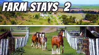 Shiralee Clydesdales Farm Stay [upl. by Therine113]