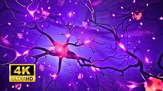 Neurons amp Nerves Explained In 3 Minutes [upl. by Raquela]