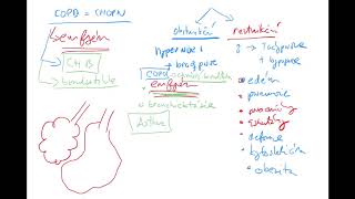 ABR 4 by Coiled CZECH ABB CHOPNCOPD hypoventilace obstrukcni restrikcni emfyzem astma FEV1 [upl. by Ynohtnacram372]