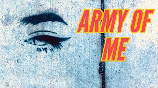 Bjork “Army of Me” by The Chavez Ravine [upl. by Deach]