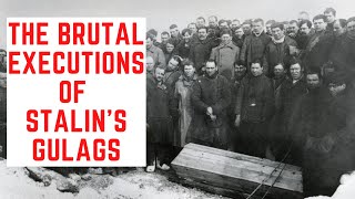 The BRUTAL Executions Of Stalins Gulags [upl. by Razaile]