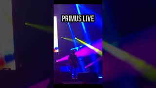 Primus  Wynonas Big Brown Beaver primus music viral beaver live concert bass lesclaypool [upl. by Oleta853]