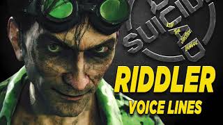 Suicide Squad Kill the Justice League  Riddler Voice Lines [upl. by Eemyaj]