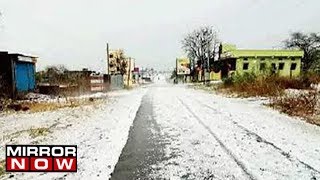 Five Dead Crops Damaged As HAILSTORM Hits Maharashtra [upl. by Steiner823]