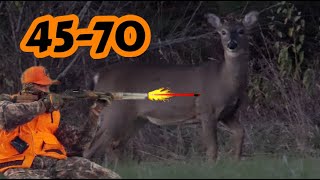 2022 Maine Deer DOWN  Marlin 1895 Guide 4570  GIANT HOLE left behind [upl. by Yun]