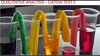 QUALITATIVE ANALYSIS  CATION TEST  A  LEVEL AS SEASON 2 [upl. by Malone800]