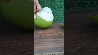 Soft coconut cutting 🌴🌴viralshort coconut coconutcutting [upl. by Claudio]