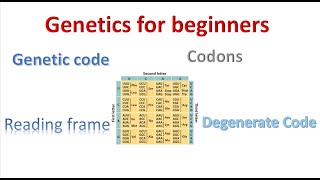 Genetics for beginners Genetic Code and codons [upl. by Pinkham]