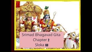 Srimad Bhagavad Gita Chapter 2 Sloka 60 [upl. by Nylyahs]