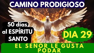 Día 29 🙏🔥 CAMINO PRODIGIOSO 50 DÍAS AL ESPÍRITU SANTOpor qué Dios poda 🌿🌿🌿🌿 [upl. by Aihsot320]