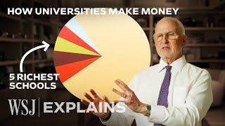 Former College President Explains the Funding Strategies Behind Universities  WSJ [upl. by Lorrimor]