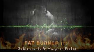 FAT BURNER  Weight Loss  Subliminals amp Morphic Fields Faster Metabolism High Energy Levels [upl. by Vanthe292]