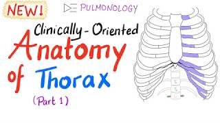 ClinicallyOriented Anatomy of the Thorax part 1 [upl. by Suedama]