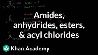 Amides anhydrides esters and acyl chlorides  Organic chemistry  Khan Academy [upl. by Enegue]