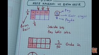 3sınıf matematik Kesir kavramı ve birim kesir Bulbulogretmen matematik kesirler [upl. by Godard790]