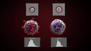 The Attune CytPix Flow Cytometer Enables You to Gain More Data with Automated Image Analysis [upl. by Sokram595]