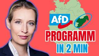 AfD Wahlprogramm Was Sachsen wissen muss [upl. by Knah]