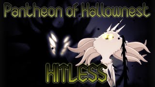 Hollow Knight 「Pantheon of Hallownest  Hitless」 [upl. by Cindy]