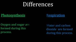 Differences between Photosynthesis and Respiration [upl. by Sandeep]