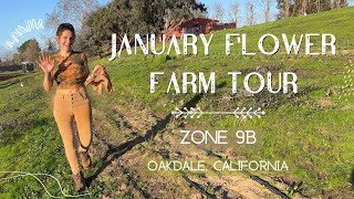 California Flower Farm Tour January Zone9bcutflowers [upl. by Nesrac729]