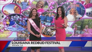 60th Annual Louisiana Redbud Festival is Saturday in Vivian [upl. by Gnoz234]