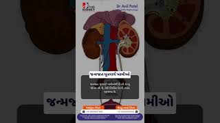 કિડનીની તપાસ કોણે કરાવવી જોઈએ Expert Advice Care and Treatment At The Kidney Clinic Surat [upl. by Ydrah]