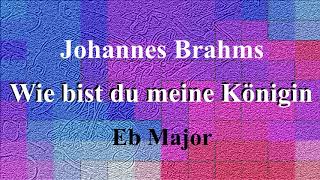 Wie bist du meine Königin by Johannes Brahms accompaniment in Eb Major [upl. by Devlin]