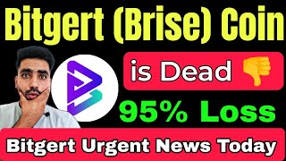 Bitgert Brise Coin is Dead ❌⛔  Brise coin urgent news today  Bitgert Coin Price Prediction [upl. by Leribag]