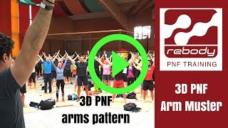 rebody PNF Training  3D Arm Diagonale [upl. by Lunsford]