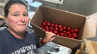 What to do with a box of tomatoes salsa…VLOG [upl. by Llehcal]