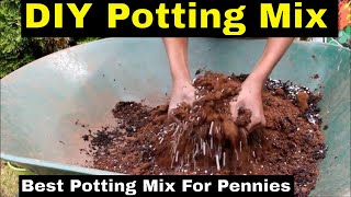 How to Make Inexpensive Potting Mix Cheap Potting Soil [upl. by Keviv257]