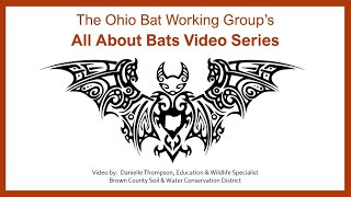 Bats in Buildings by Danielle Thompson Brown Co Soil amp Water Conservation District [upl. by Laddy]