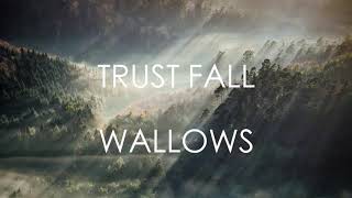 Trust Fall  Wallows LYRICS [upl. by Emelen578]