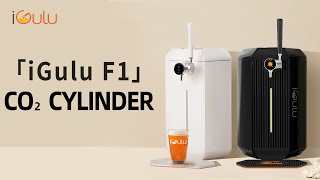 iGulu F1 CO2 Cylinder Guide  Proper Installation and Safety Tips [upl. by Yekciv641]