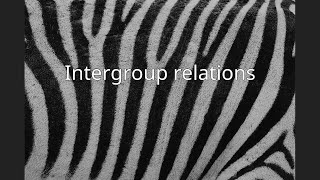 Intergroup relations [upl. by Arnaldo]