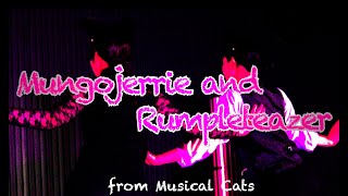 Mungojerrie and Rumpleteazer Musical【Cats】 [upl. by Nereids]