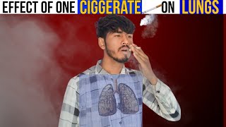 Ciggerate Experiment With Bottle  One Cigarette Smoking Effect Of Human Lungs [upl. by Razec]