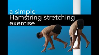 a hamstring stretching exercise that can help with your pistol squat [upl. by Lledra]