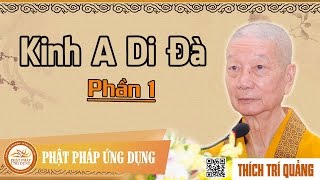 Kinh A Di Đà phần 1  Hòa Thượng Thích Trí Quảng [upl. by Joselyn]