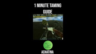 How To Tame An Achatina In 1 Minute shorts [upl. by Elleuqram730]