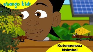 Ubongo Kids Webisode 49  Kutengeneza Msimbo  Katuni za Elimu kwa Kiswahili [upl. by Alec467]