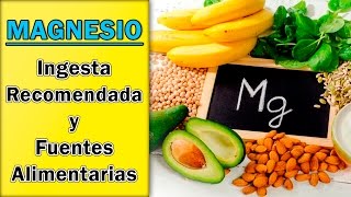 Magnesio y Nutrición  Ingesta Recomendada y Fuentes Alimentarias [upl. by Olivette]