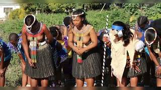 Moments from the annual Reed Dance in KwaNongoma [upl. by Lapo]