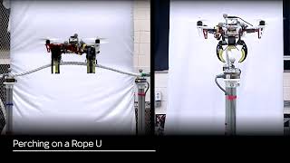 Bioinspired Drone Foot Recycling Impact Energy for Passive Dynamic Perching and Grasping [upl. by Sherrod]